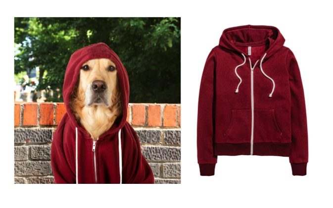 hund, hoodie