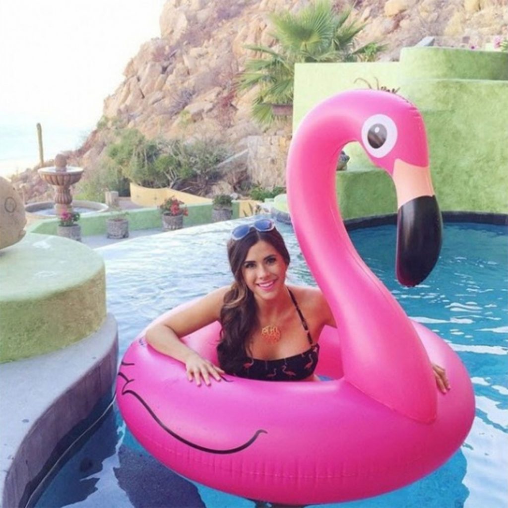 flamingo badering badedyr sommerferie