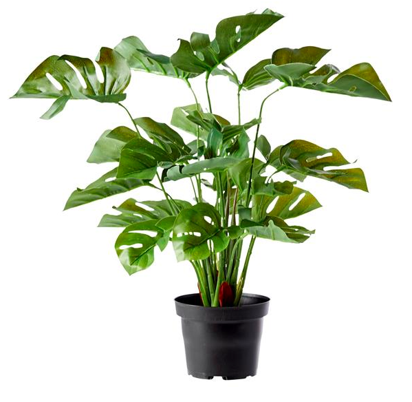 kunstig plante bolig indretning (Foto: Ilva)