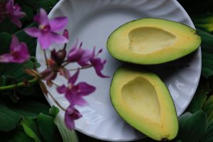 avocado, fedt, sundhedsmyter, sundhedsløgne, sundhed, kost, vaner, råd, vejledning
