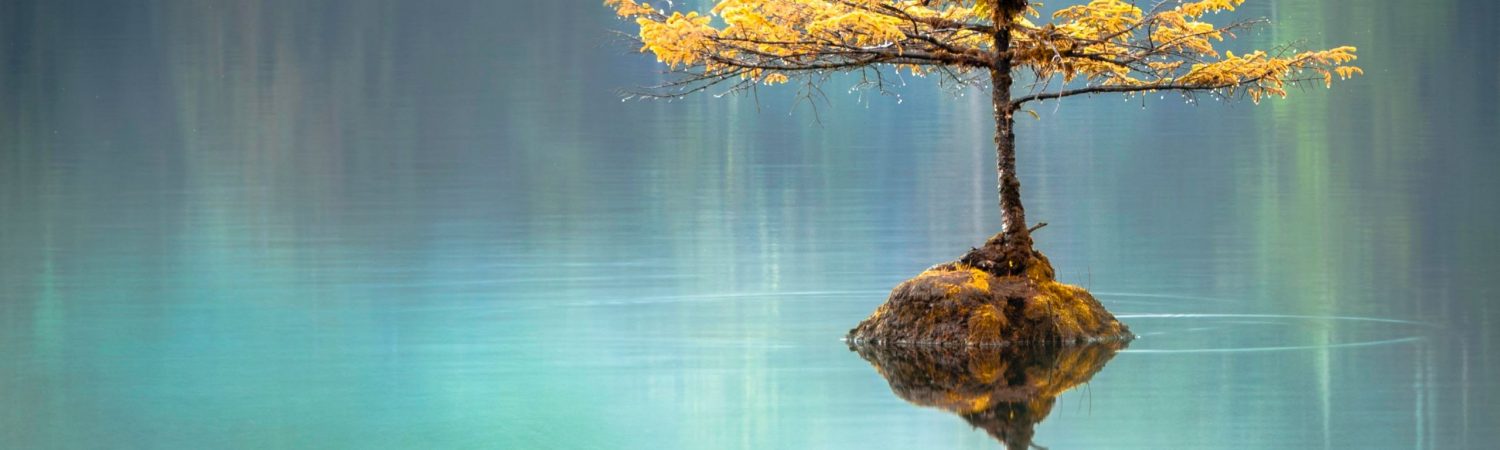 zen ro natur meditation (Foto: Unsplash)