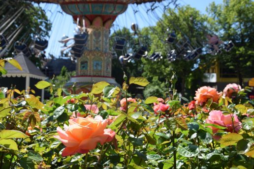 tivoli københavn (foto: Oliver Nordahl Johansen)