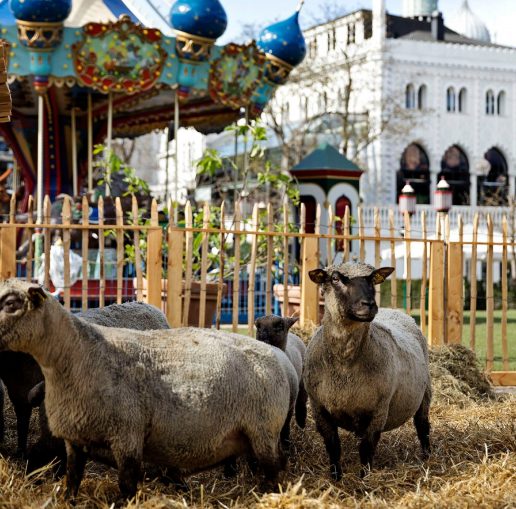 (Foto: Tivoli)