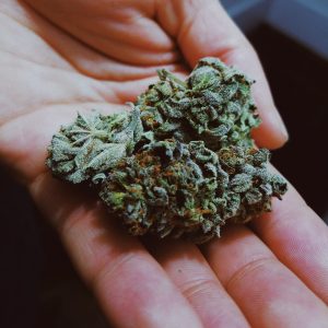 skunk hash