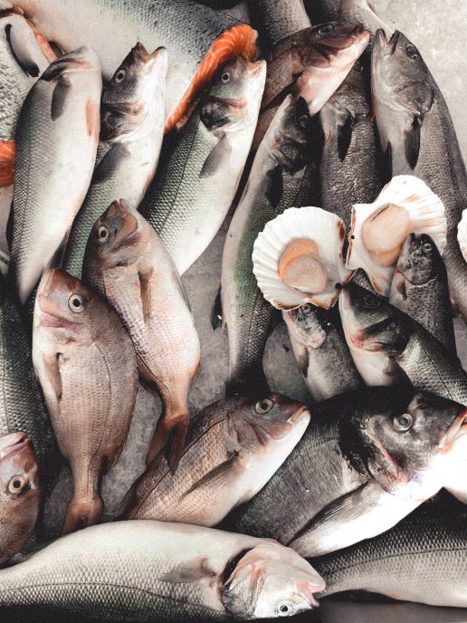 fisk laks