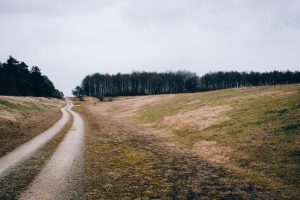 tyskland markvej landskab