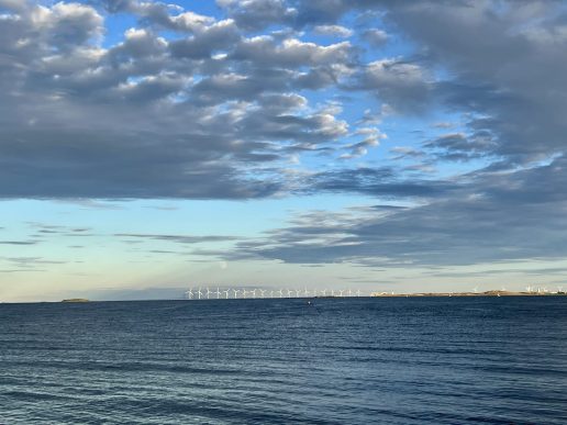 natur øresund, vindmøller