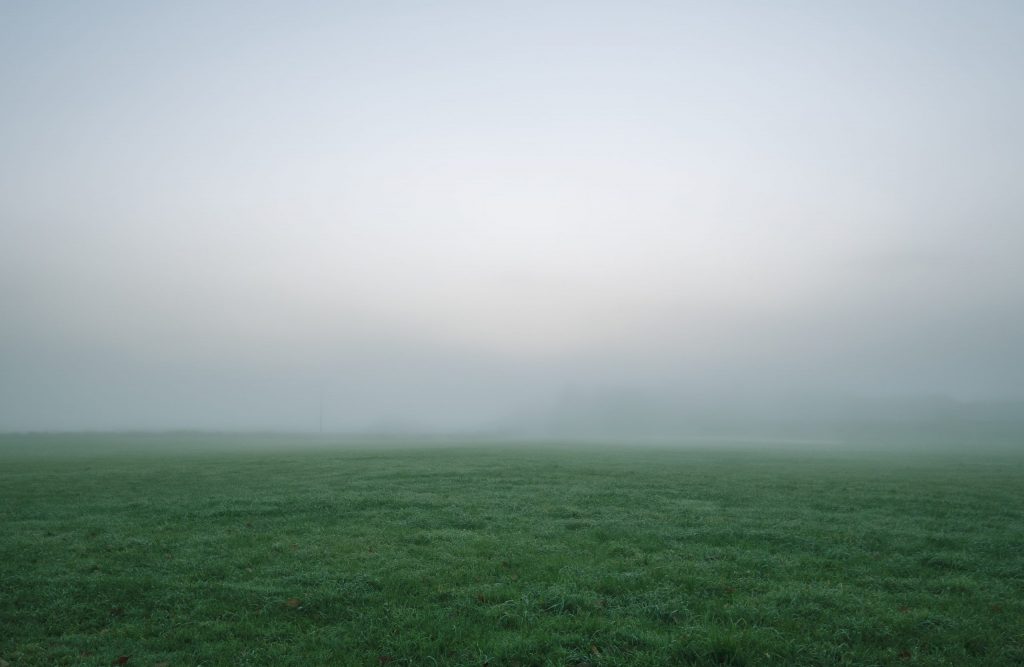 mark natur dis tåge