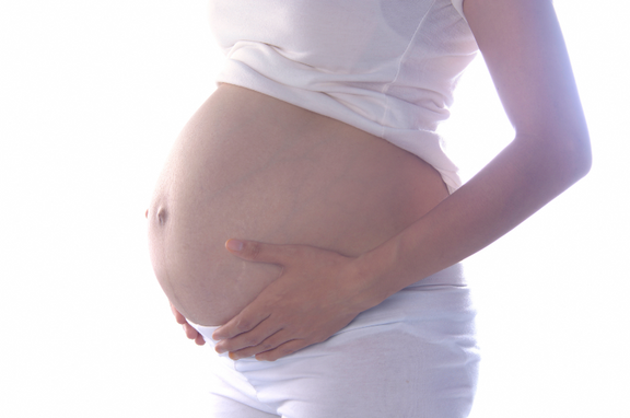 gravid