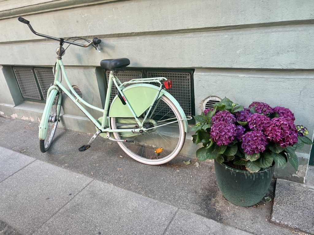 cykel