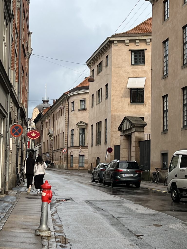 københavn københavns byret byretten grundlovsforhør