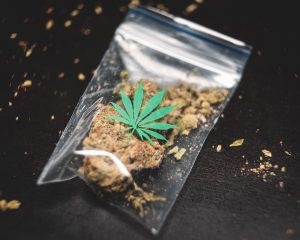 weed græs hash skunk narko