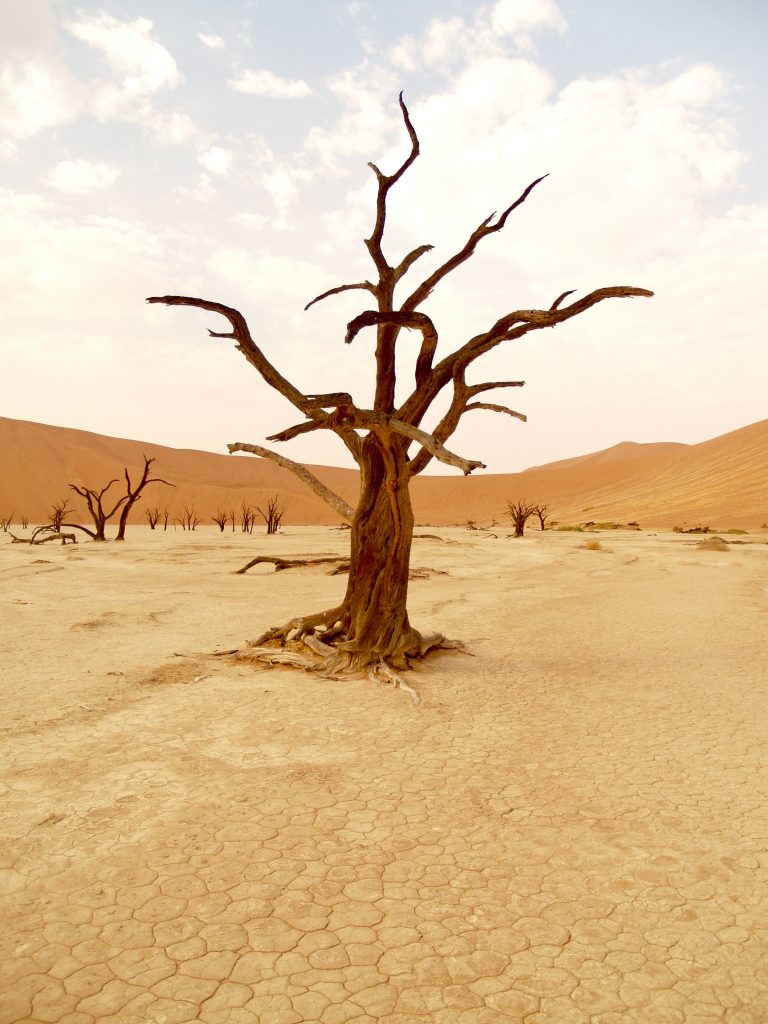klima natur