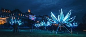 copenhagen light festival kirkegård