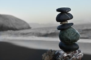 zen harmonisten natur