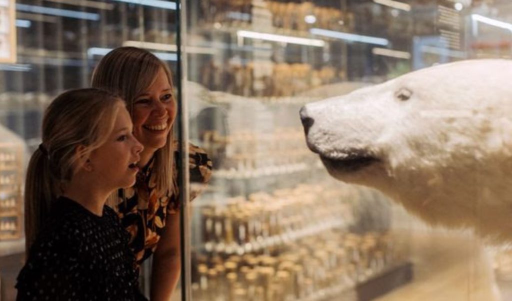 statens naturhistoriske muserum