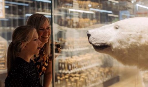 statens naturhistoriske muserum