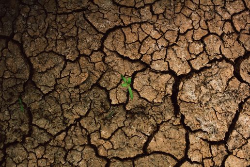 tørke klima klimaforandring jord