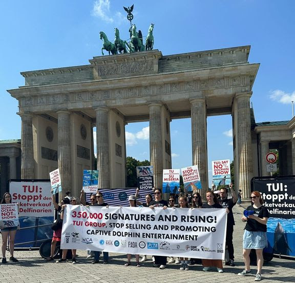 berlin delfin protest