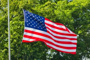 usa flag valg