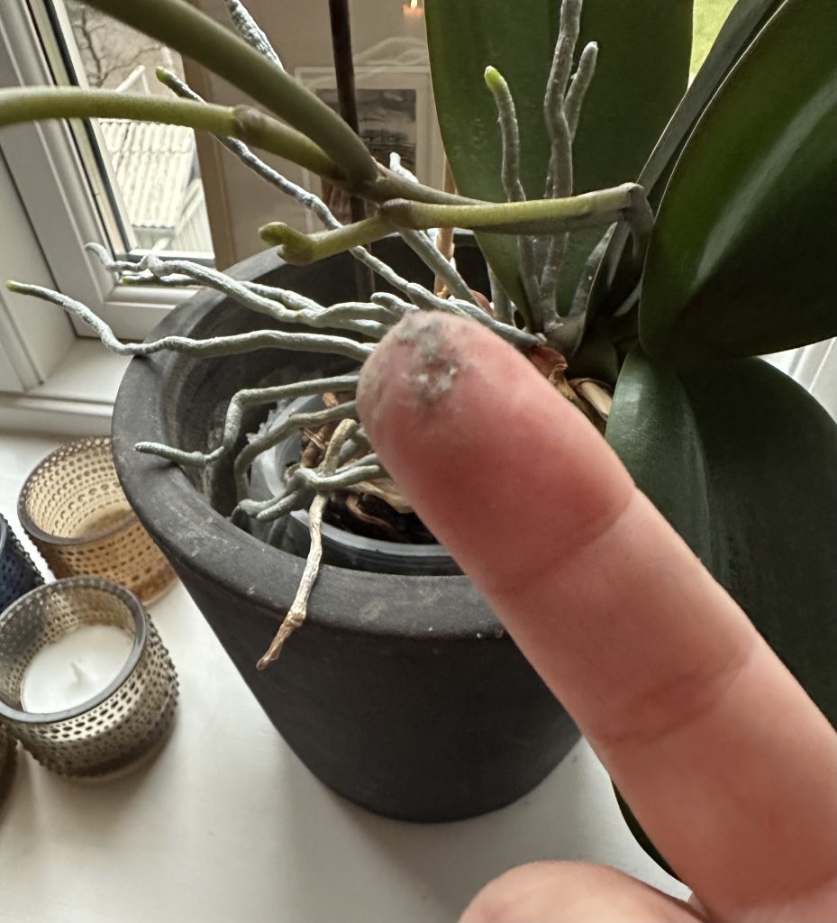 støv yrsavej finger rengøring