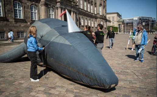 greenpeace hav