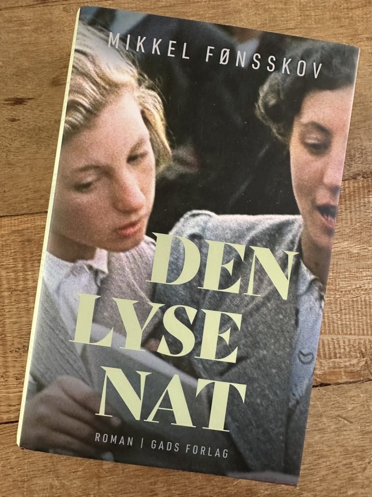bog den lyse nat