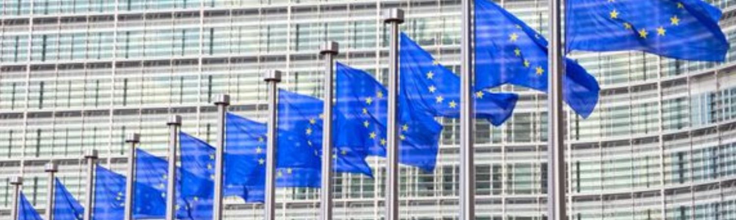 EU euflag flag