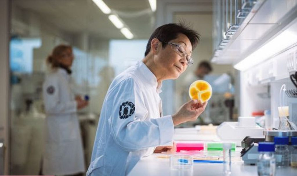 biosolutions novonesis