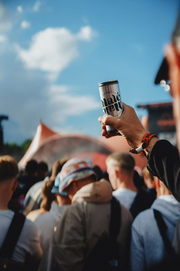 mate mate roskilde festival