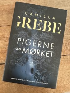 camilla grebe pigerne i mørket bog