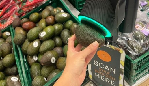 salling avocadoer