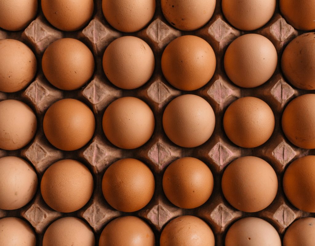 æg 