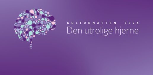 kulturnatten di hjerne robotter